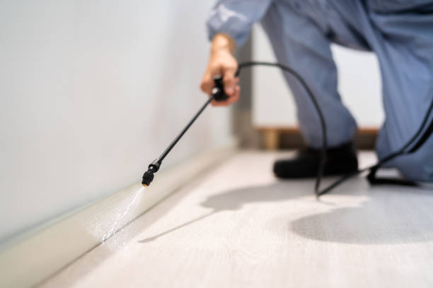 Licensed Termite Control service in Claiborne County County, MS - Nex Pest Control