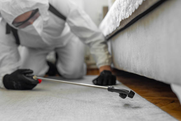 Professional Termite Control technician working in Claiborne County County, MS